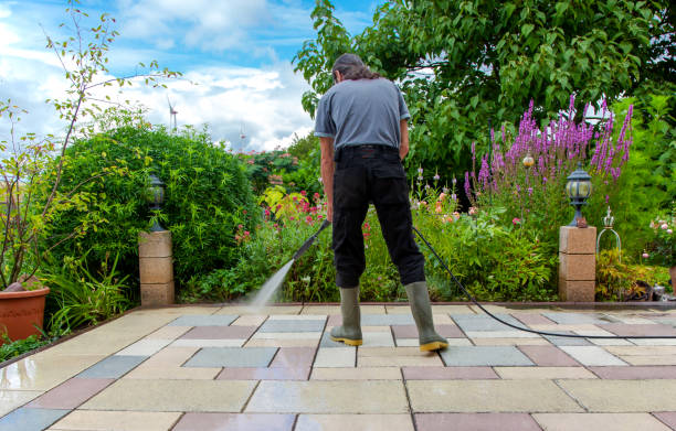 Best Driveway Pressure Washing  in Alsip, IL